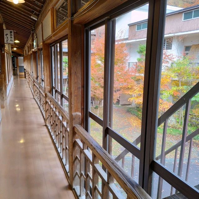 岩手県！お湯と紅葉を求めて大沢温泉へ