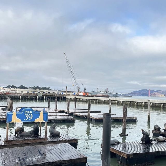 美國舊金山三藩市漁人碼頭