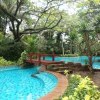 다낭 호캉스 하기 좋은 리조트-푸라마 리조트(Furama resort danang)