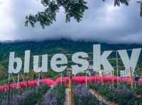 The Blue Sky เขาค้อ เทพนิยายแห่งสายหมอก