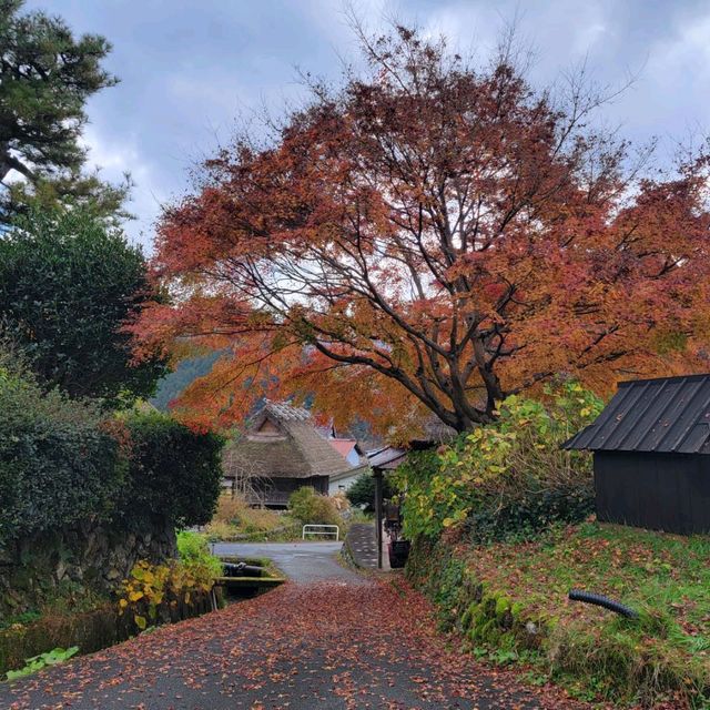 樣貌似合掌村的美山町