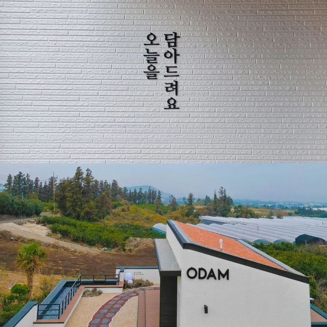 제주 애월에 위치한 대형 독채 감성숙소 뷰맛집 오담애월❤