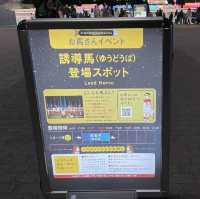 大井競馬場 東京メガイルミ【東京都/品川区】
