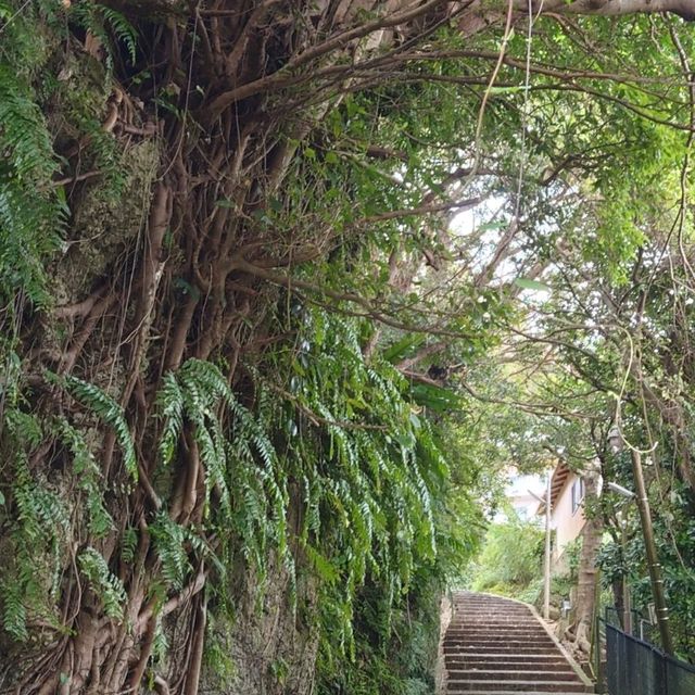 首里金城石畳道「真珠道」
