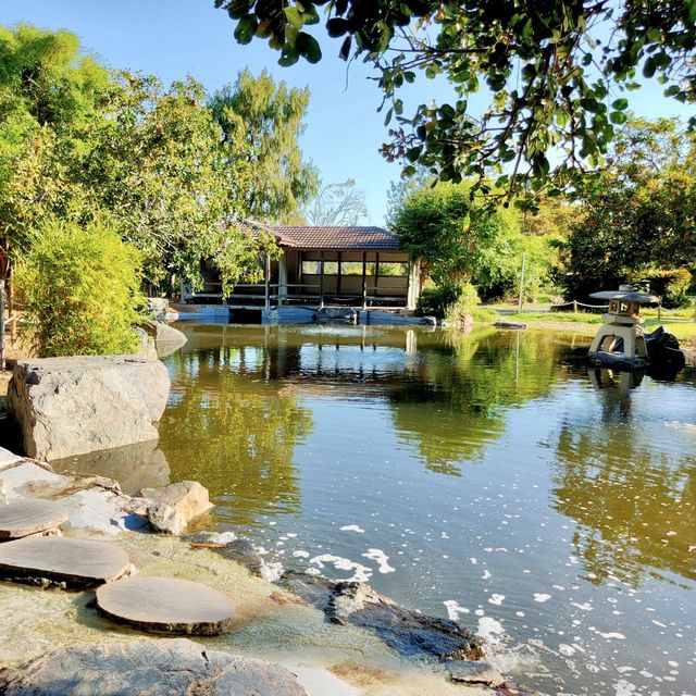 Lovely Rockhampton Botanic Garden