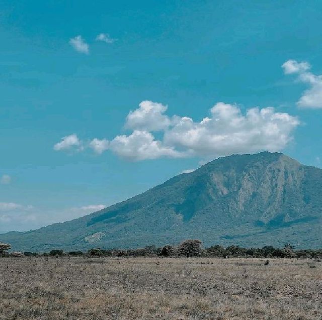 BALURAN NATIONAL PARK, BANYUWANGI