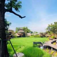 คาเฟ่บ้านสวนปลายตะวัน