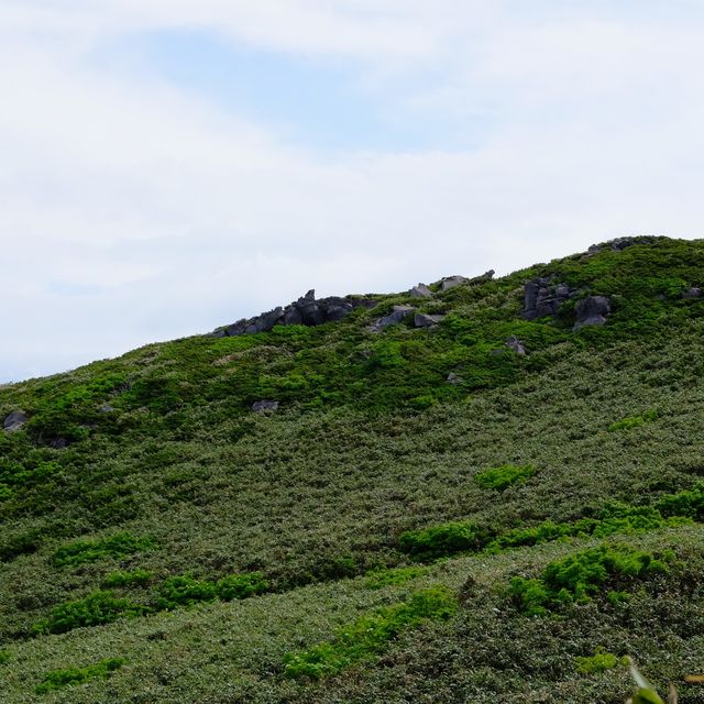 初夏の鳥海山道中