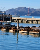 San Fransisco 여행기 - 피셔맨스워프와 Pier 39