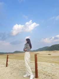 태안 인생샷 명소 :: 태안 신두리 해안사구🌵