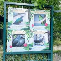 百鳥苑