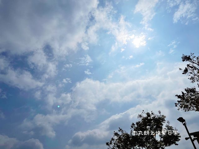 草地狂奔吧