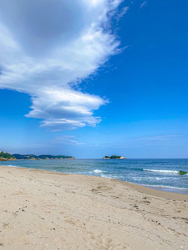 양양 핫플들과 위치가 가까운 푸른바다캠핑장⛺️