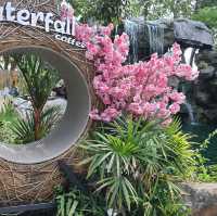 Waerfall coffeee ร้านก๋วยเตี๋ยวถูกปาก บ้านบึง 