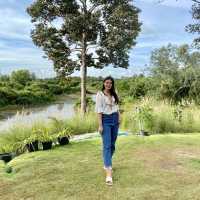 Rimtara Cafe' ท่าตูม จ.สุรินทร์