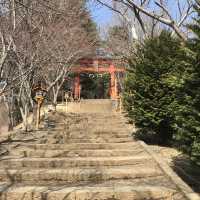 ［新倉富士淺澗神社］- 跟富士山互相輝映🗻