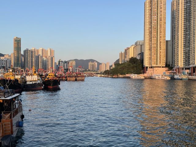 釣魚 🎣 - 香港仔灣防波堤