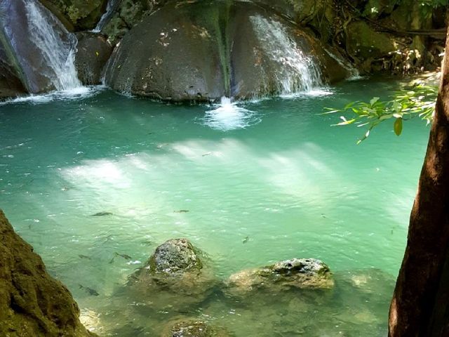 A relaxing 🦈 fish spa at Erawan Falls 💦🌿☘️