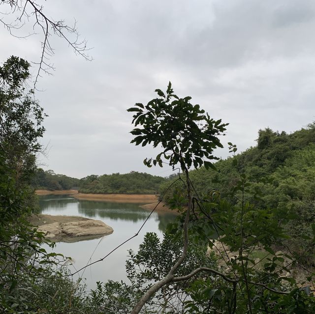 港版嵐山竹林之道