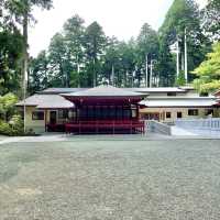 箱根神社でフィトンチッドシャワーを🌲