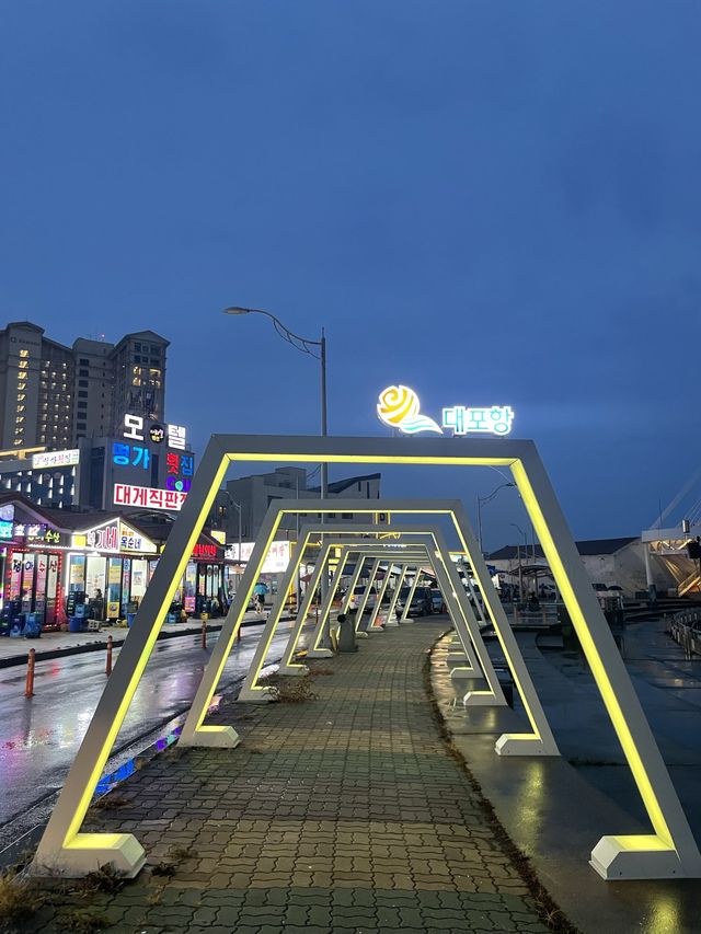 손 닿을 듯 가까운 바다를 보고 싶다면 속초 대포항🛳
