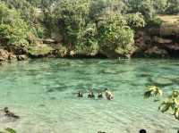 A Jaw-Dropping Turquoise Lagoon in Remote Weekuri, Sumba Island Indonesia