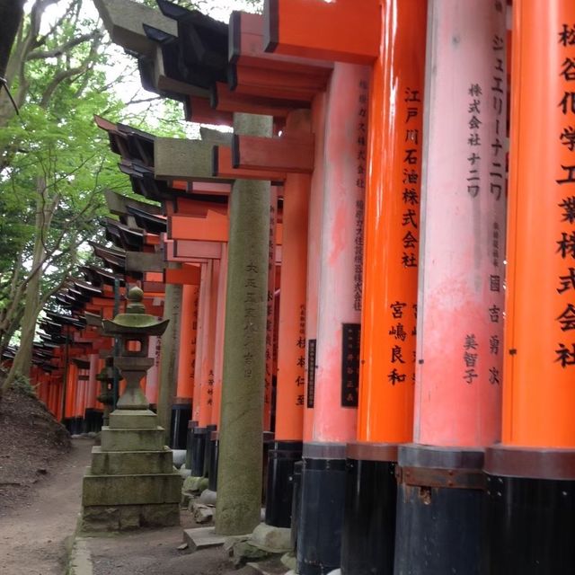 京都-伏見稻荷