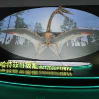 恐龍🦖暑日之旅