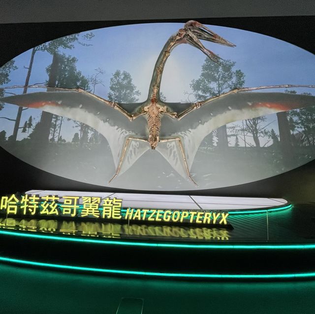 恐龍🦖暑日之旅