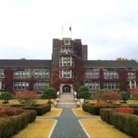 Yonsei University colours of fall