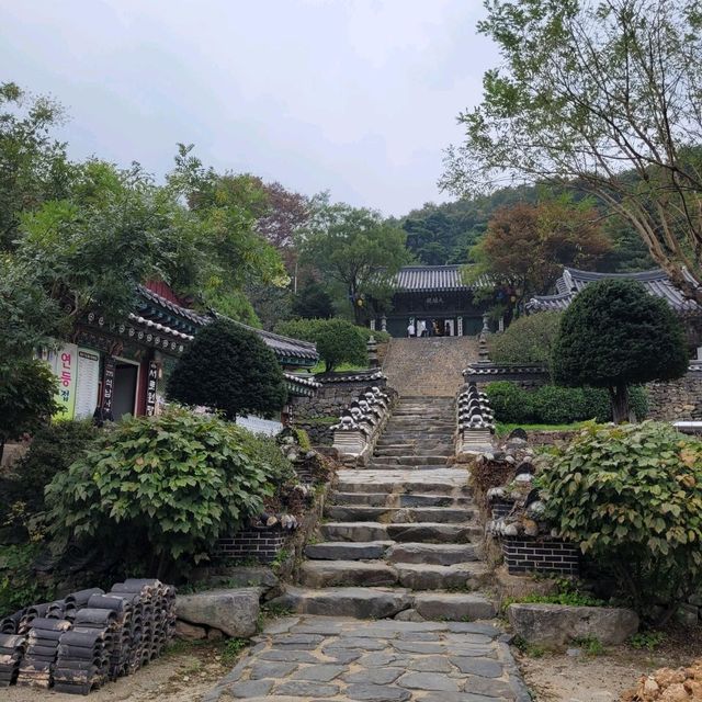 안성 석남사에 서운산 단풍이 찾아왔어요