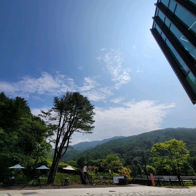 어린이 가족 당일 놀거리 추천