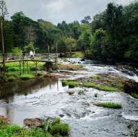 Tad Yuang Waterfall resort 