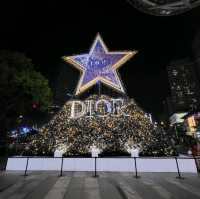 The Great  Christmas Light-Up