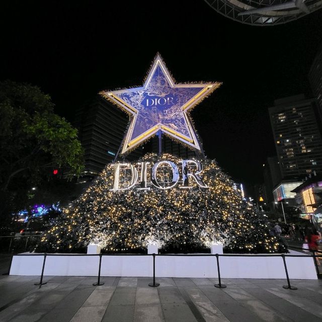 The Great  Christmas Light-Up