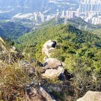 Lion's Rock for Hikers!