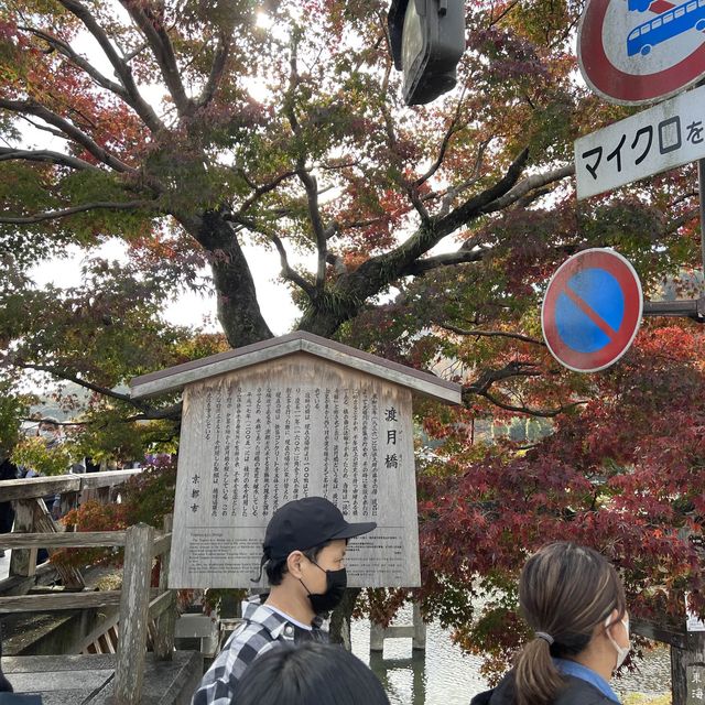 日本京都知名景點｜渡月橋，好多人坐在這裡吹風喝咖啡，還可以划船