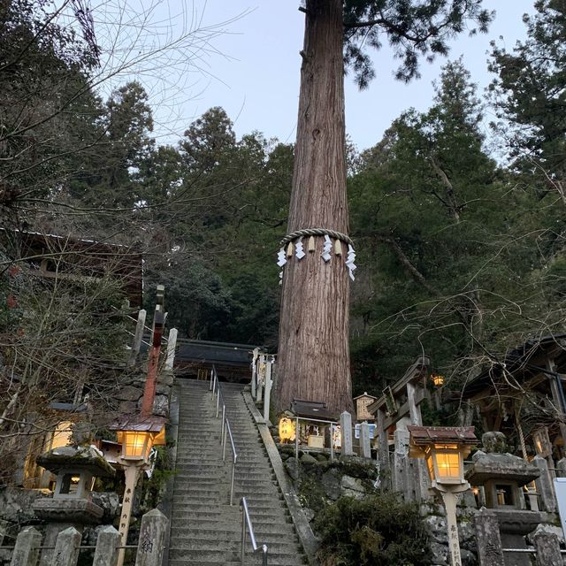 京都 鞍馬山