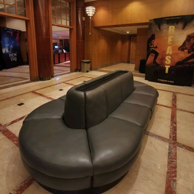 Cinema in The 5 star hotel, The Empire Hotel