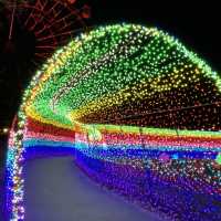 【千葉県】煌めく虹のトンネルを楽しむ！
