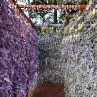 【石川】金沢の縁結び神社💕石浦神社