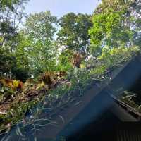 Vanilla Hhill (Hill lodge) เชียงใหม่