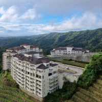 Travel paradise- Vinyard view highland