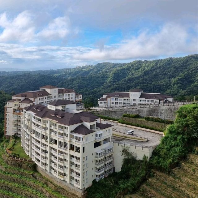 Travel paradise- Vinyard view highland