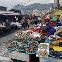 Jagalchi Market! Seafoods! 