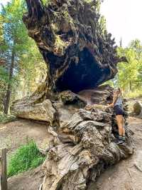 Sequoia National Park