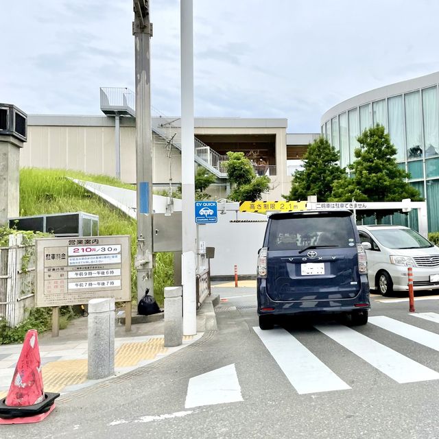 新江ノ島水族館の壁画アート