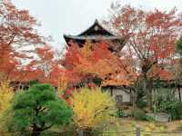 京都[紅葉めぐり] 南禅寺　天授庵- 枯山水庭園にて和む -