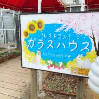 成田ゆめ牧場