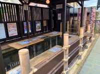 京都　KYOTO SAKURAめぐり❗️嵐電嵐山駅の桜に感動❗️足湯も⁈